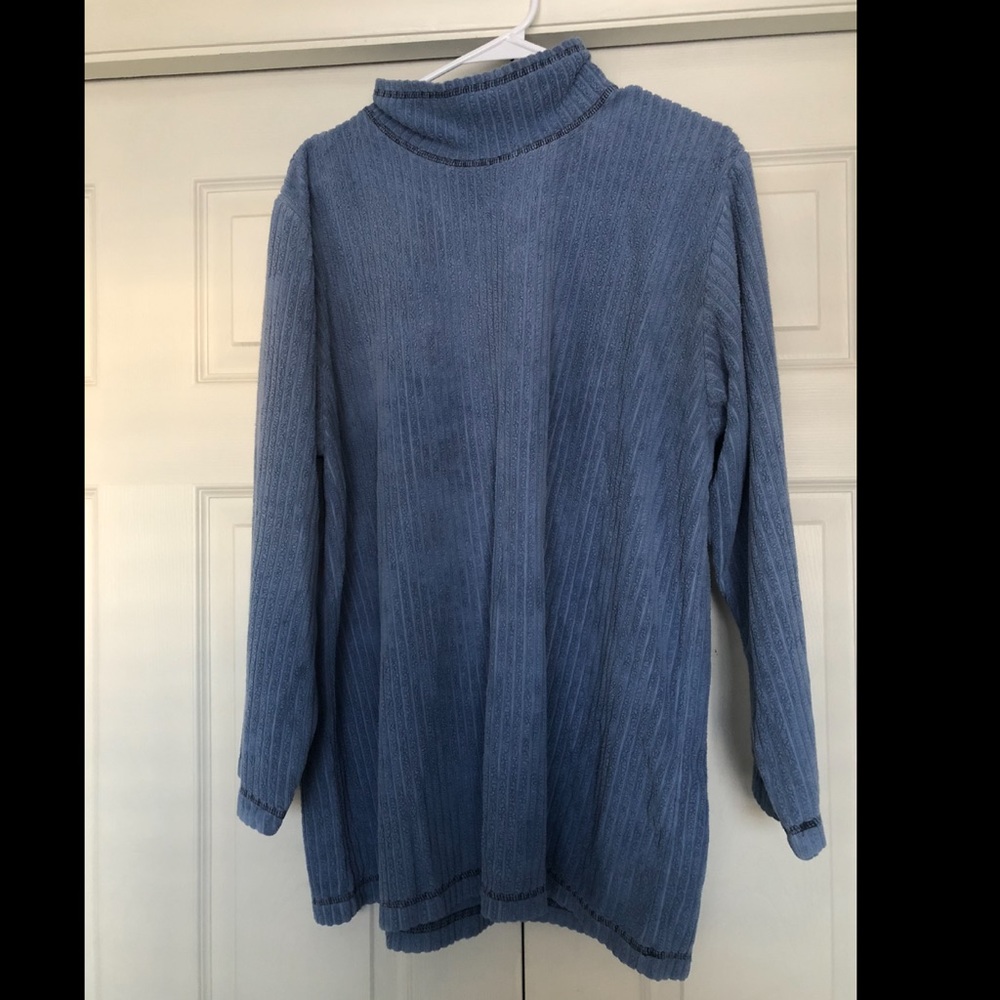 Hanes Blue Turtleneck
